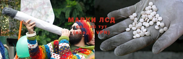 ГАЛЛЮЦИНОГЕННЫЕ ГРИБЫ Алексеевка