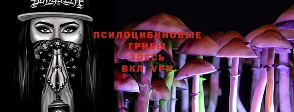 не бодяженный Алексин
