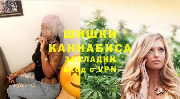 гидра Наволоки