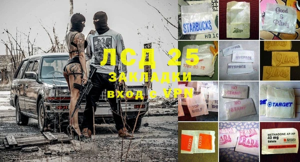ГАЛЛЮЦИНОГЕННЫЕ ГРИБЫ Алексеевка