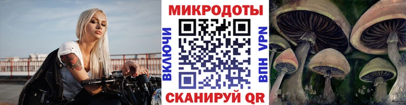 Псилоцибиновые грибы мицелий  OMG вход  Абакан 