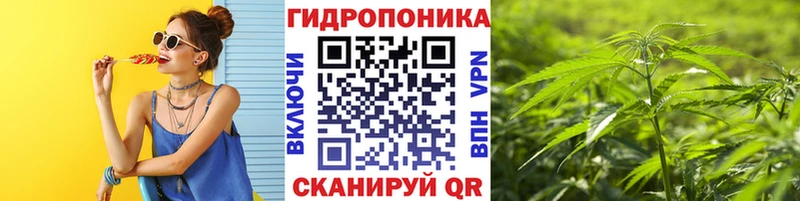 Канабис Bruce Banner  Абакан 